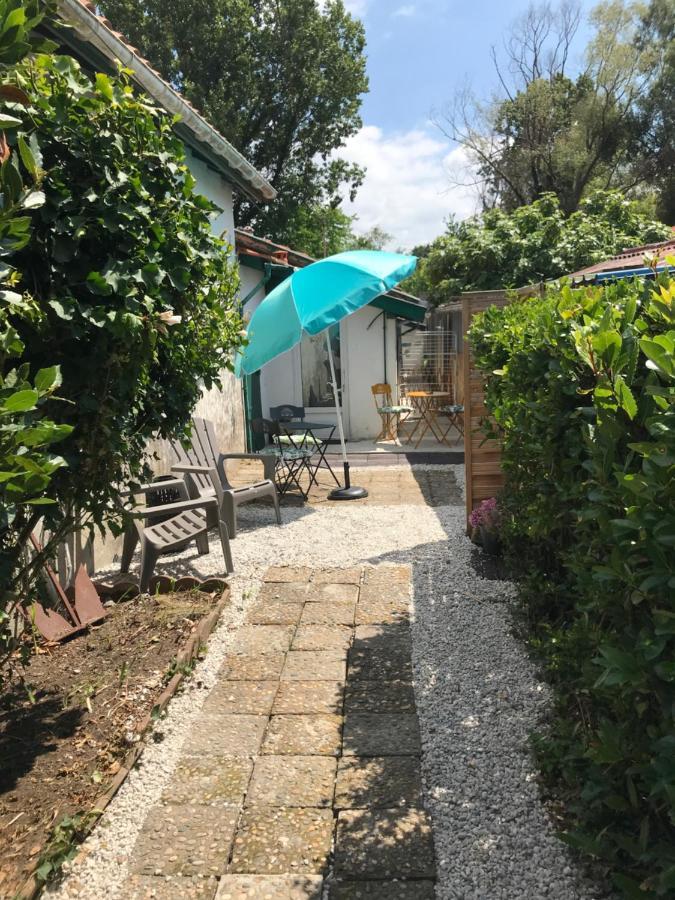 Appartement entre Océan et montagne 15bis avenue de Montbrun Anglet Esterno foto